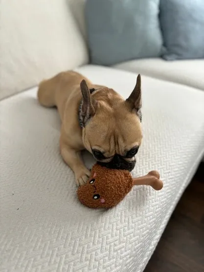 Chicken Bone 2-in-1 Dog Toy - Image 2