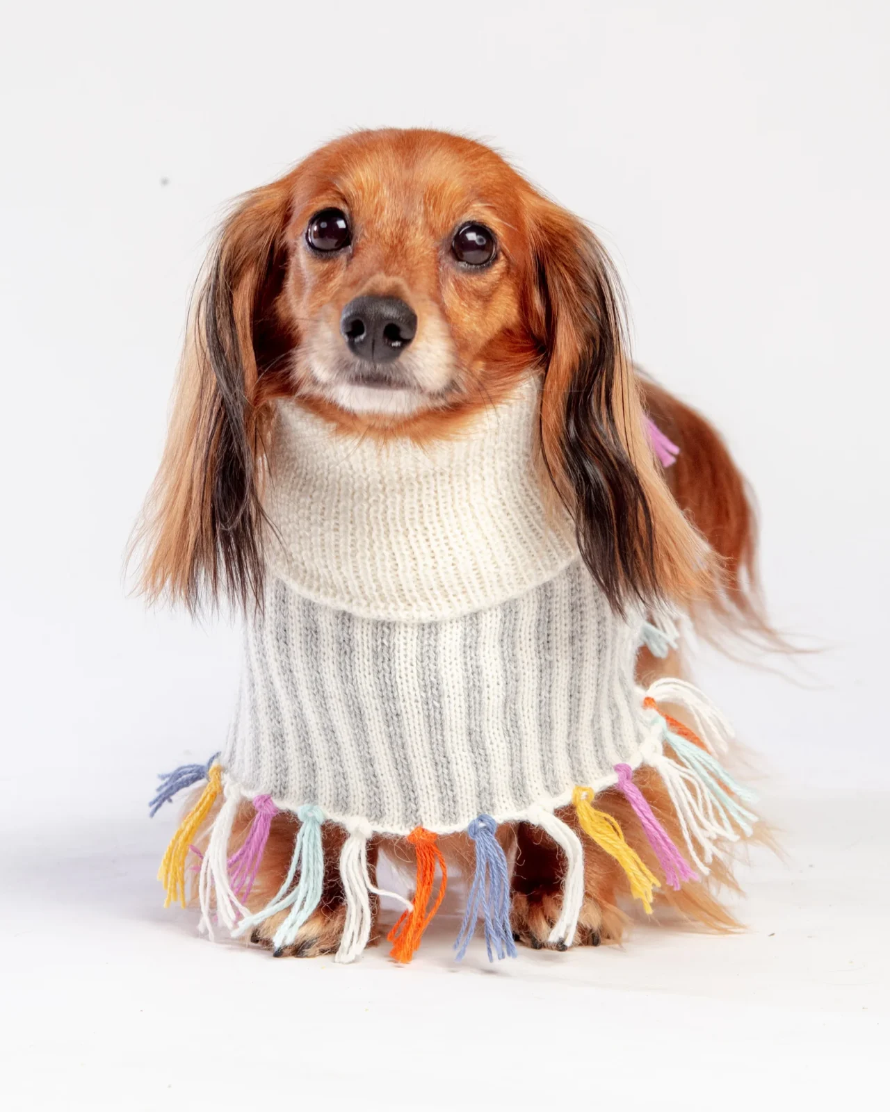 Rainbow Knit Alpaca Dog Poncho <> - Image 2