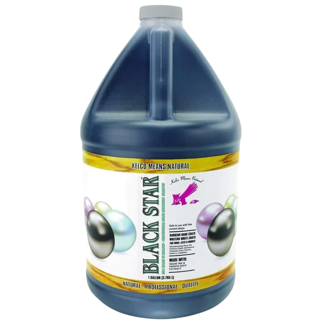 Black Star White 50:1 Shampoo Gallon by Kelco