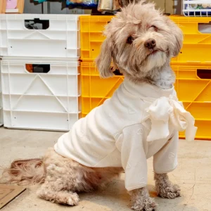 Beatrice Lady Bow Long-Sleeve Dog Shirt (FINAL SALE)