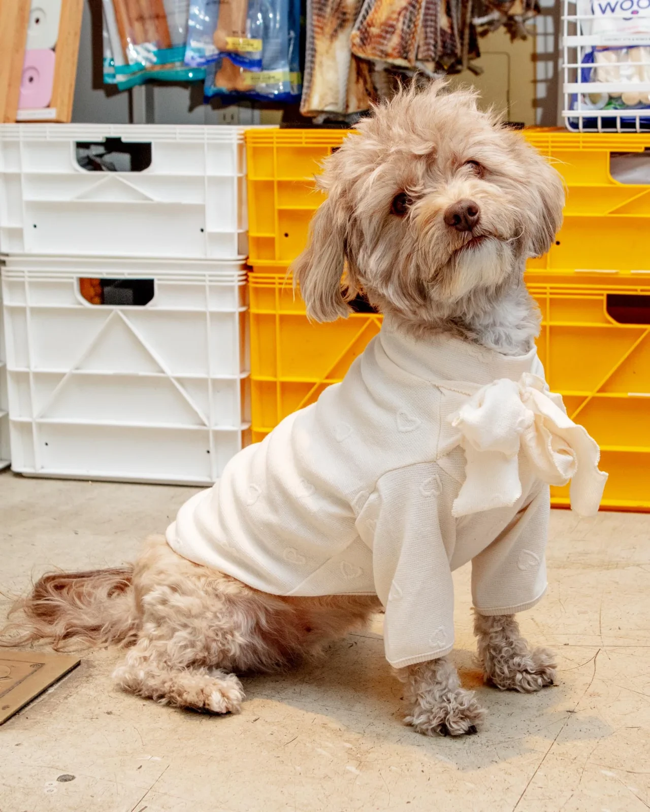 Beatrice Lady Bow Long-Sleeve Dog Shirt (FINAL SALE)