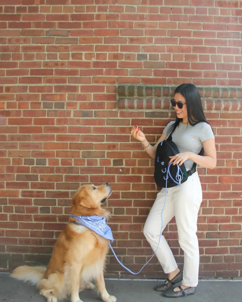 Waterproof Dog Walking Bag w/ Removable Treat Pouch - Image 2