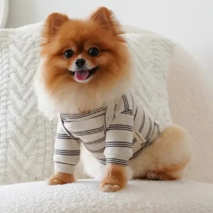 Chelsea Dog Tee in Earth (FINAL SALE)