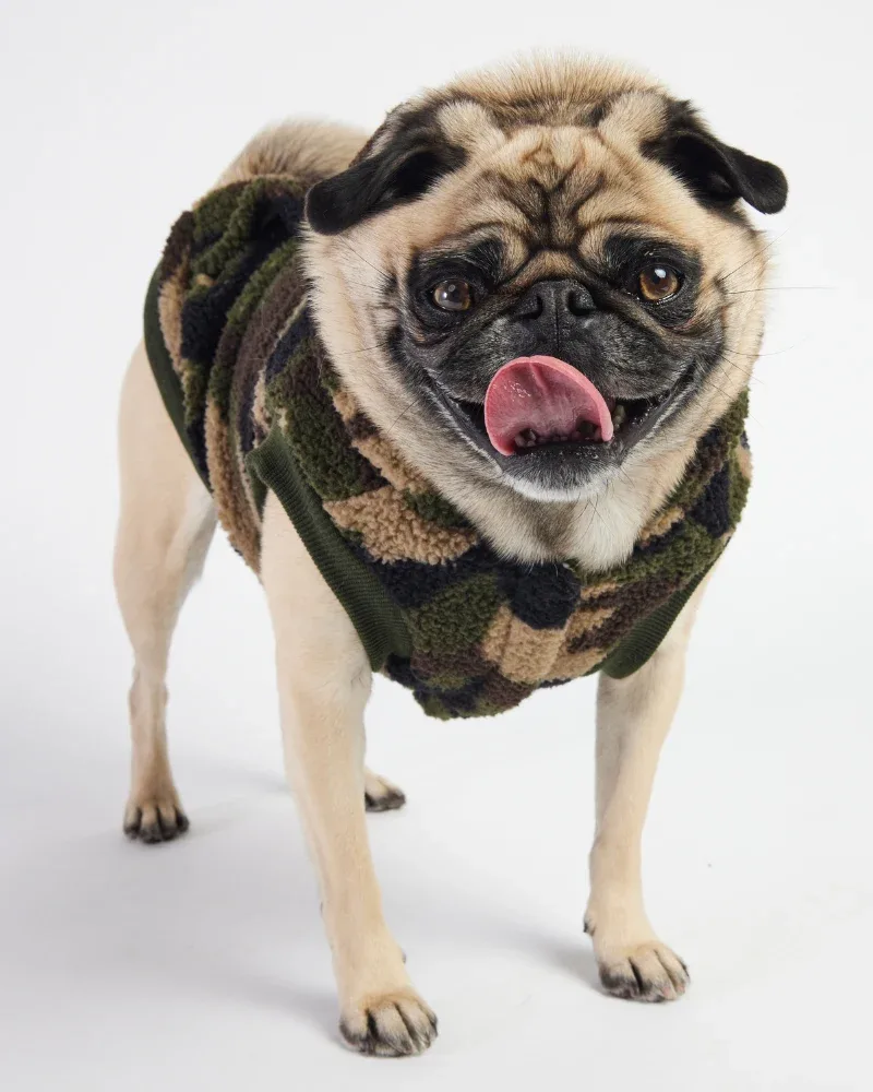 Hunter Sherpa Dog Hoodie in Camo((FINAL SALE)) - Image 2