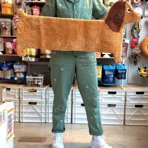 Dachshund Door, Bath + Feeding Mat