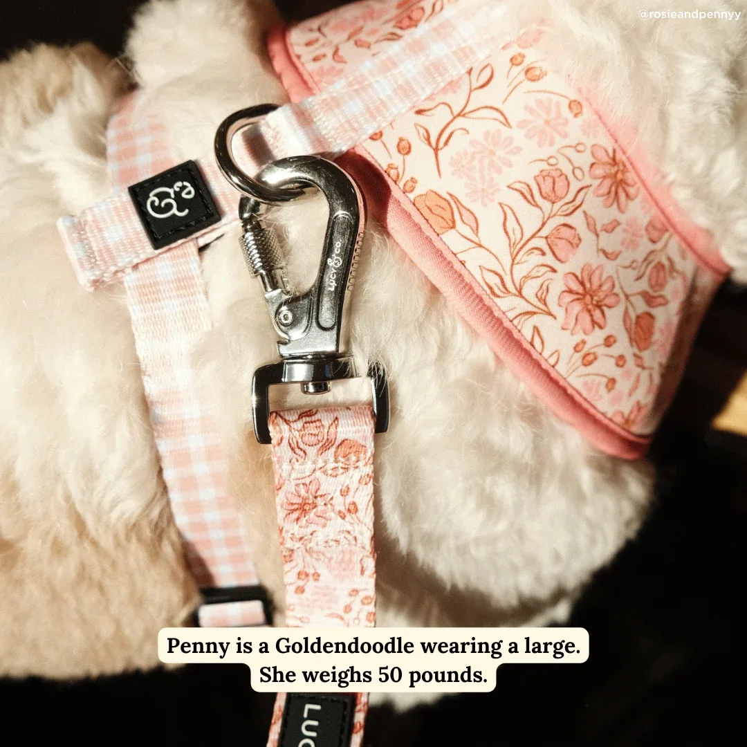 Woodland Wildflowers Leash - Image 2