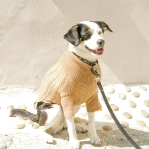 Cashmere Cableknit Sweater in Sand >>>FINAL SALE<<<