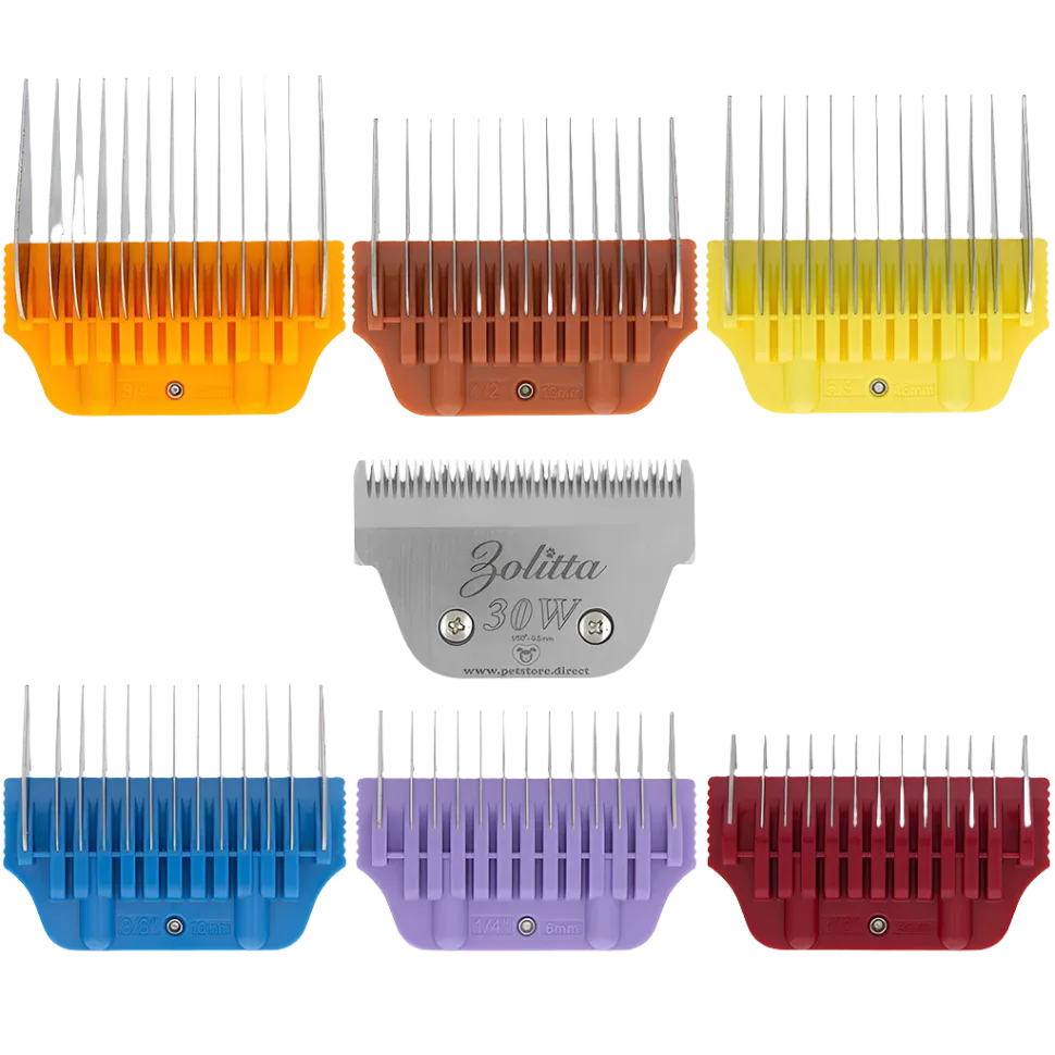 6 Colored Wide Combs with 30W blade by Zolitta