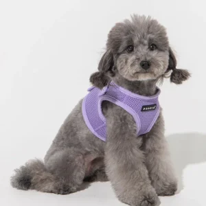 Soft Vest Dog Harness in Violet (FINAL SALE)