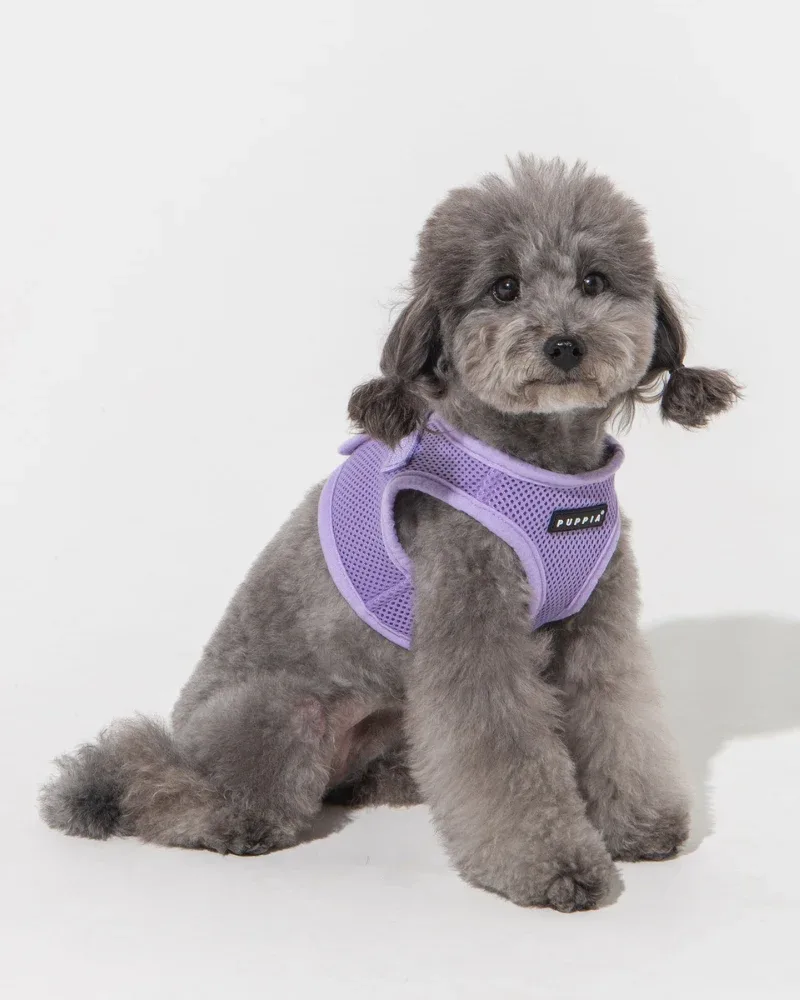 Soft Vest Dog Harness in Violet (FINAL SALE)