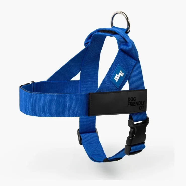 Personalised Dog Harness - Classic Blue