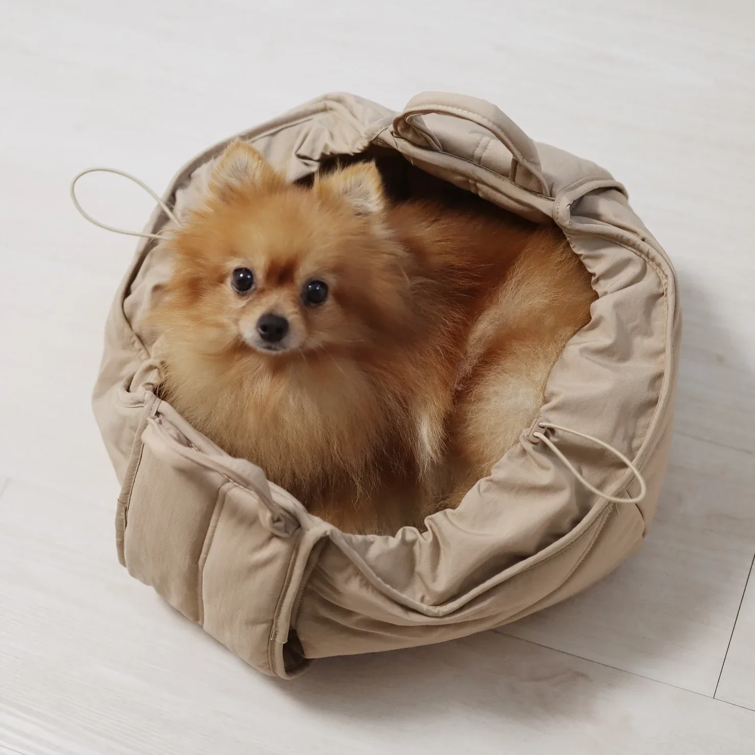 Olla Petite Pet Crossbody Bag (FINAL SALE)