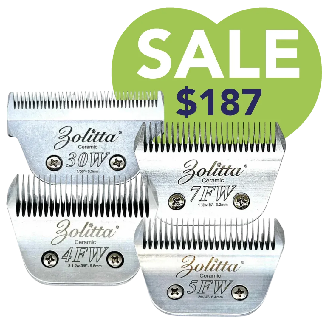 Best-Selling Wide Ceramic Blades Set of 4 by Zolitta