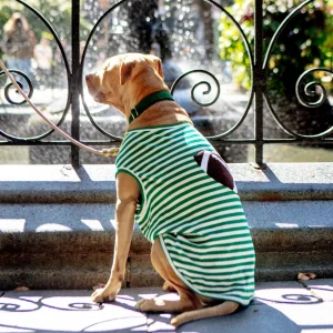 Striped Football T-Shirt for Dogs