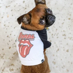 Rolling Bones Raglan Dog Tee (FINAL SALE)