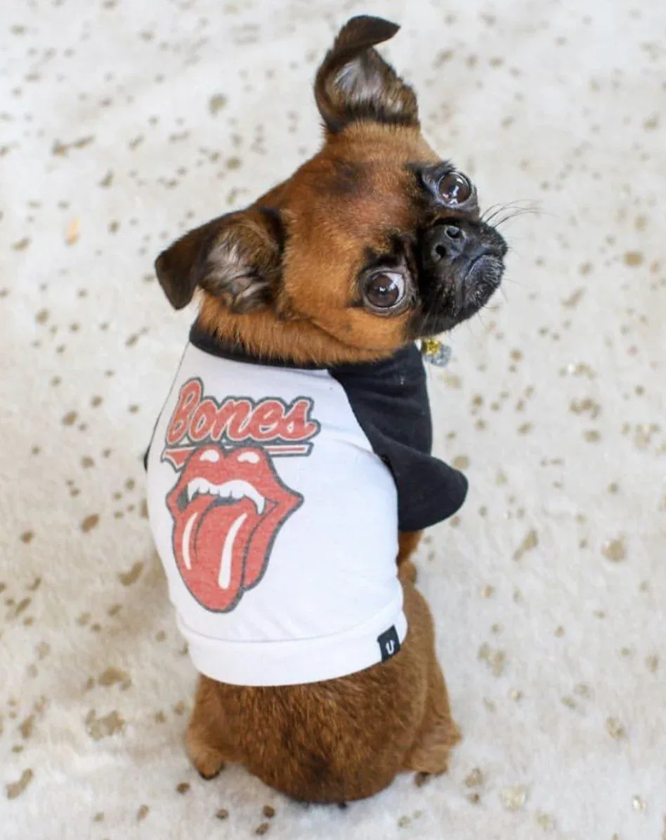 Rolling Bones Raglan Dog Tee (FINAL SALE)