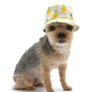 Pineapple Bucket Hat for Dogs