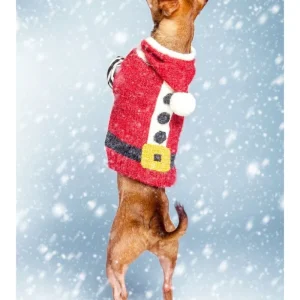 Santa Paws Hand Knit Dog Sweater (FINAL SALE)