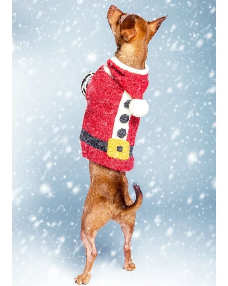 Santa Paws Hand Knit Dog Sweater (FINAL SALE)