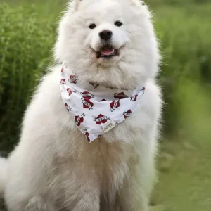 Love DAD Dog Bandana