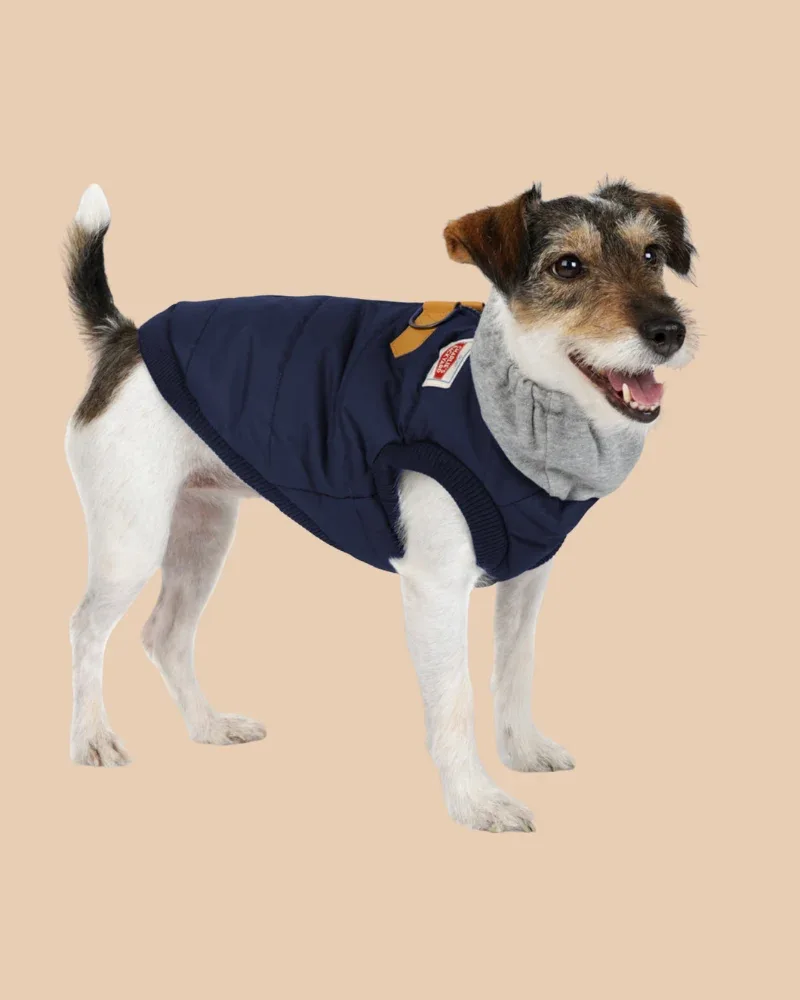 Warm Up Harness Jacket in Navy((FINAL SALE)) - Image 2