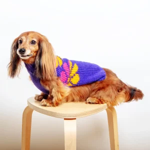 Flower Power Wool Dog Sweater (FINAL SALE)