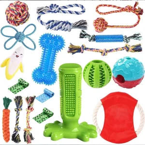 Eighteen Piece Puppy Toy Set