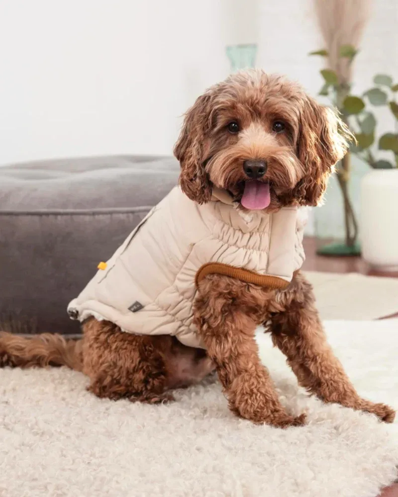 Arctic Dog Parka in Sand