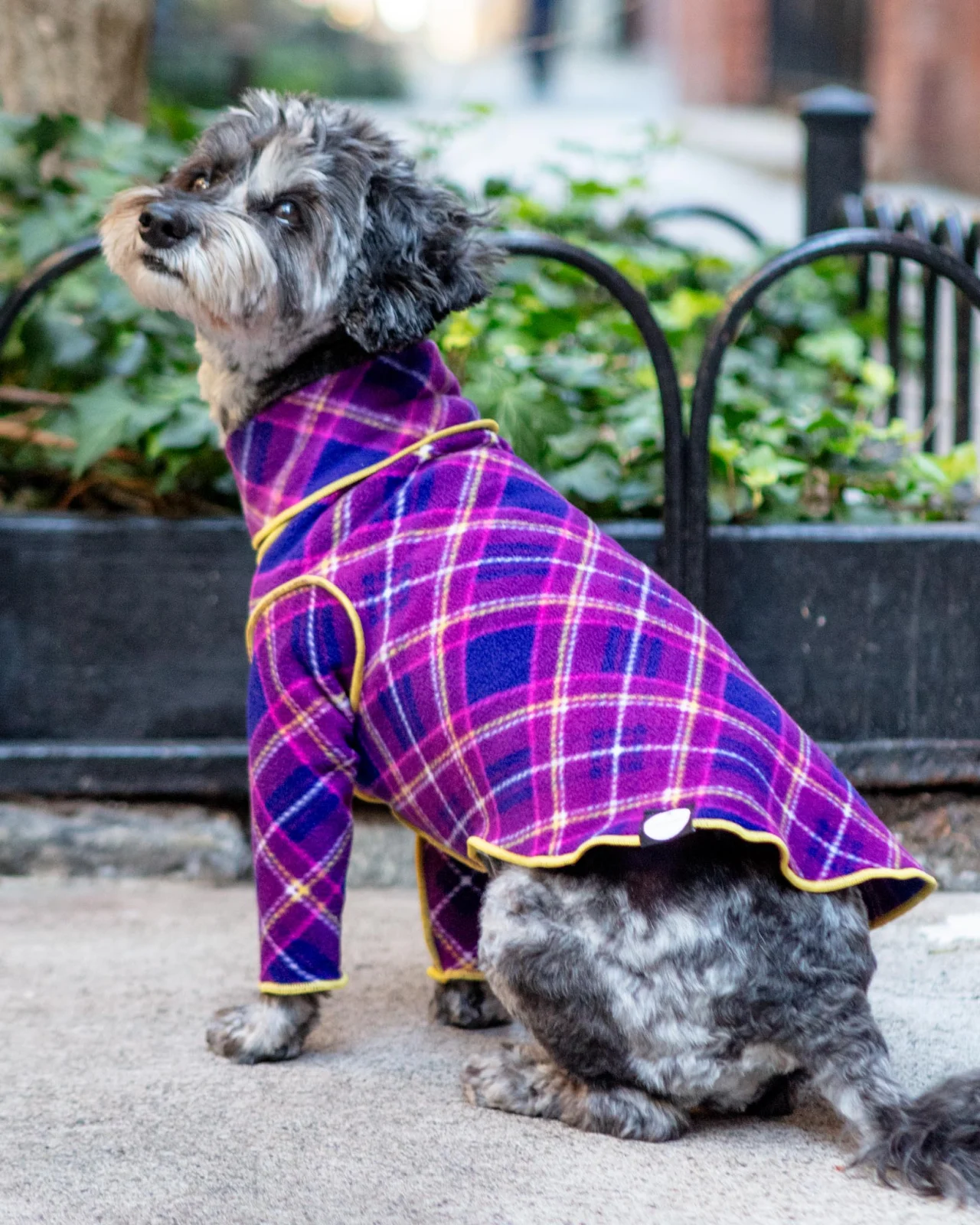 Long-Sleeve Stretch Dog Fleece in Mulberry Plaid (DOG & CO. + GOLD PAW Exclusive!)