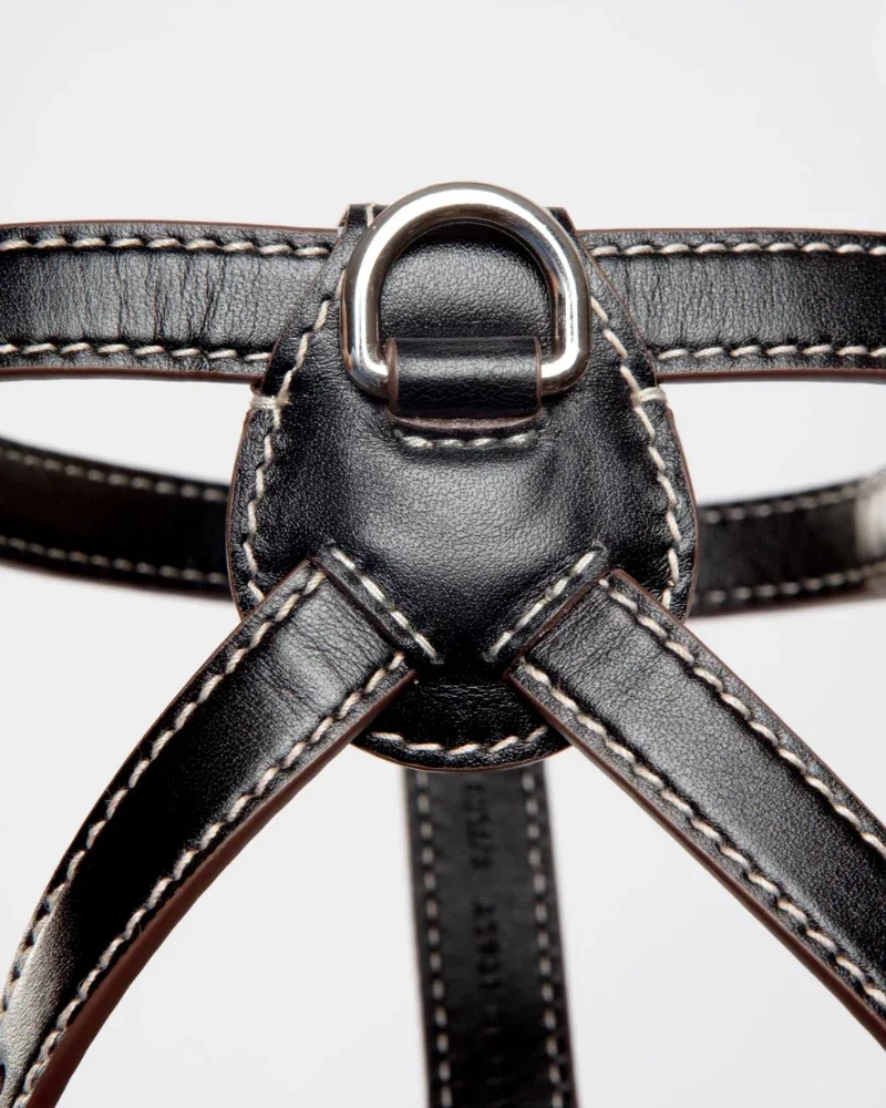Nuvola Leather Dog Harness in Black (Made in Italy) - Image 2