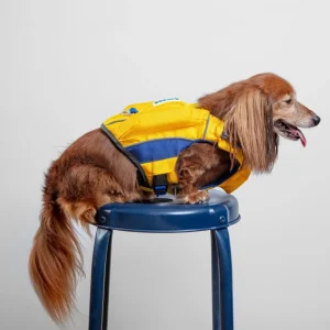 Monterey Bay Dog Life Jacket in Nautical Yellow