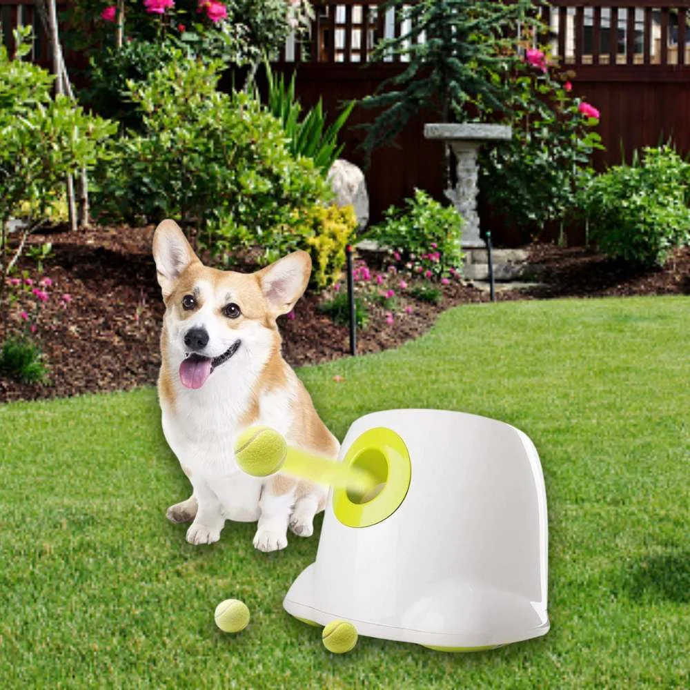 Automatic Ball Launcher - Image 2