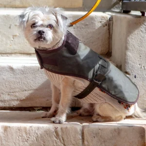 Wax Cotton All Weather Dog Jacket in Olive Green