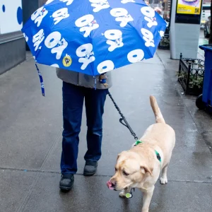 Peanuts Snoopy Limited Edition YO! Duckhead Umbrella