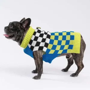Checkerboard Dog Sweater in Lime & Cobalt (FINAL SALE)