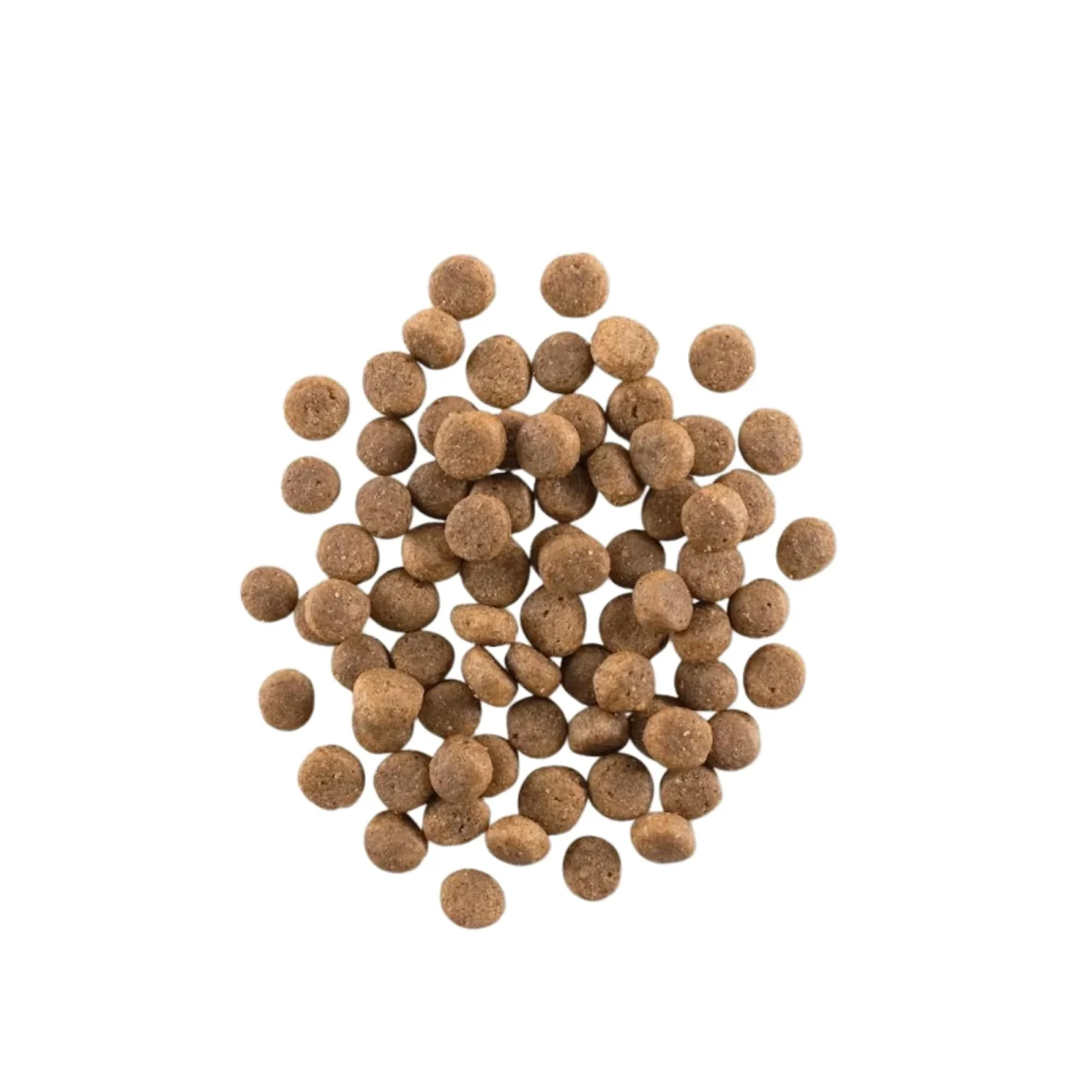 Now Fresh Dog Grain Free Puppy Turkey 22Lb - Image 2