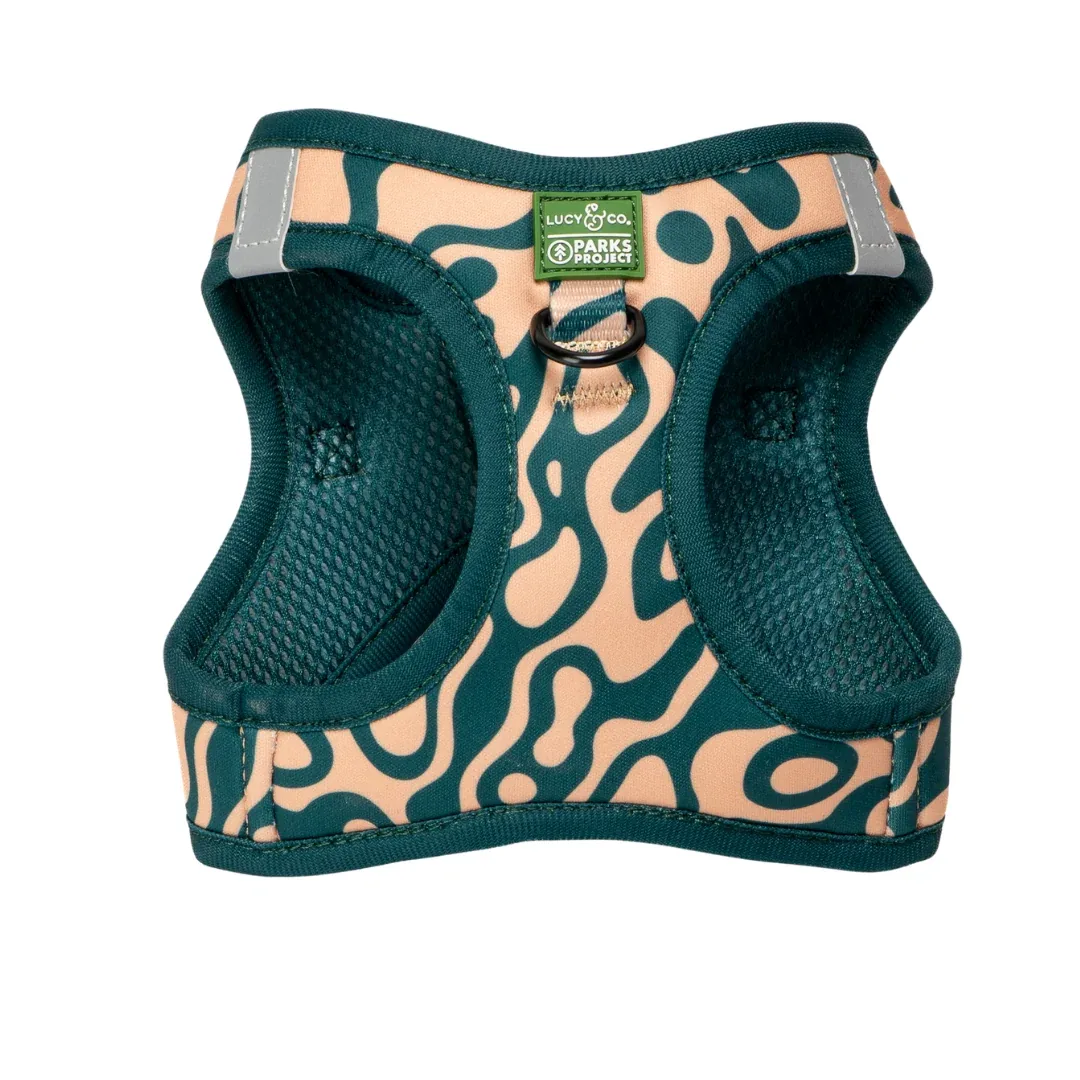 Lucy & Co. x Parks Project Geyser Step-in Cat Harness