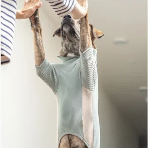 High Neck Dog Tee in Sage Green (FINAL SALE)