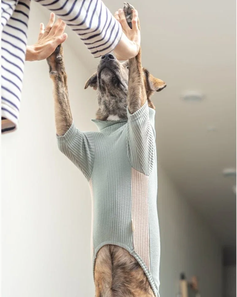 High Neck Dog Tee in Sage Green (FINAL SALE)