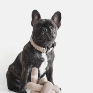 NouNou Interactive Dog Toy in Tan