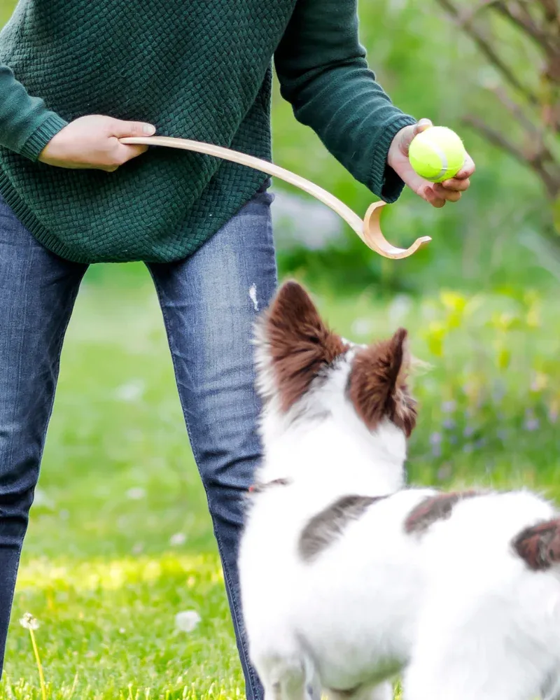 Wooden Ball Launcher for Dogs - Image 2