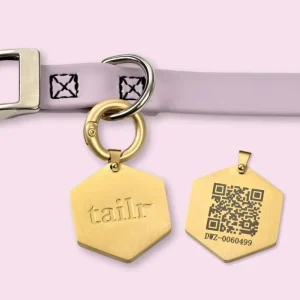 Tailr QR ID Tag for Pets (Classic Hanging Tag) (FINAL SALE)