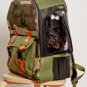Ready-For-Adventure Pet Backpack (Airline Compliant)