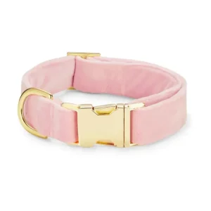 Blush Pink Velvet Dog Collar (Made in the USA) (FINAL SALE)