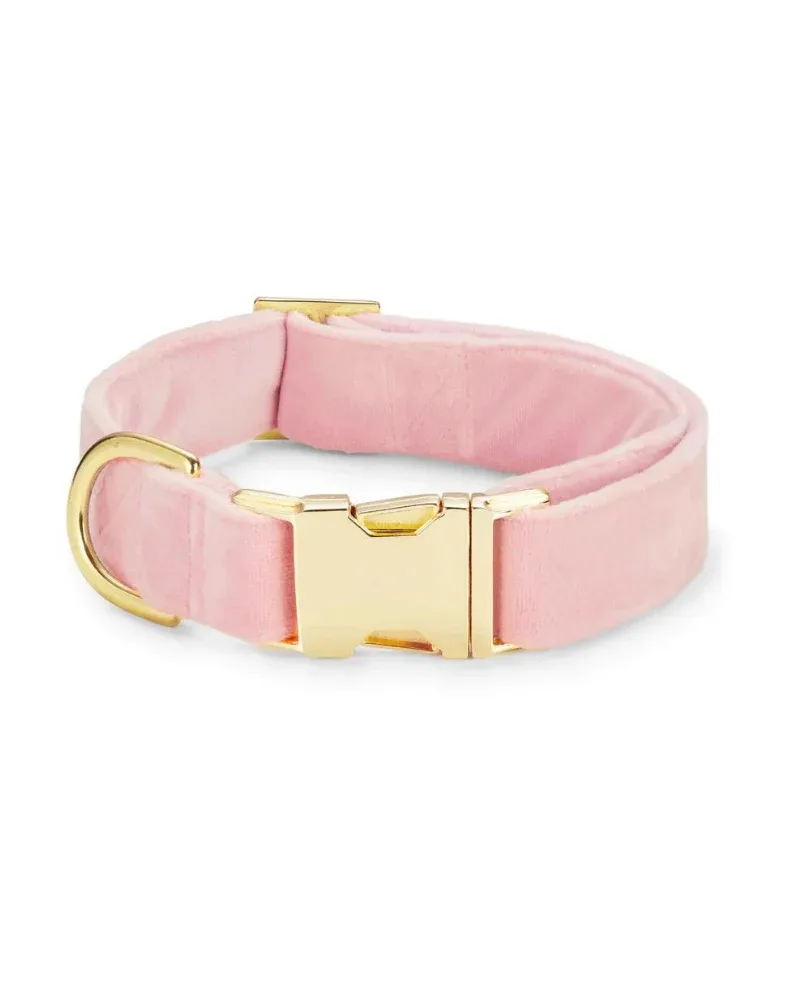 Blush Pink Velvet Dog Collar (Made in the USA) (FINAL SALE)