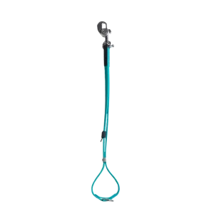 AXL Loop in Teal by Alpha Grooming