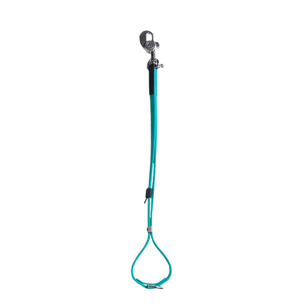 AXL Loop in Teal by Alpha Grooming