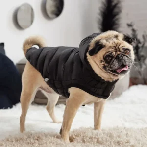 Cloud Puffer Parka for Dogs in Black