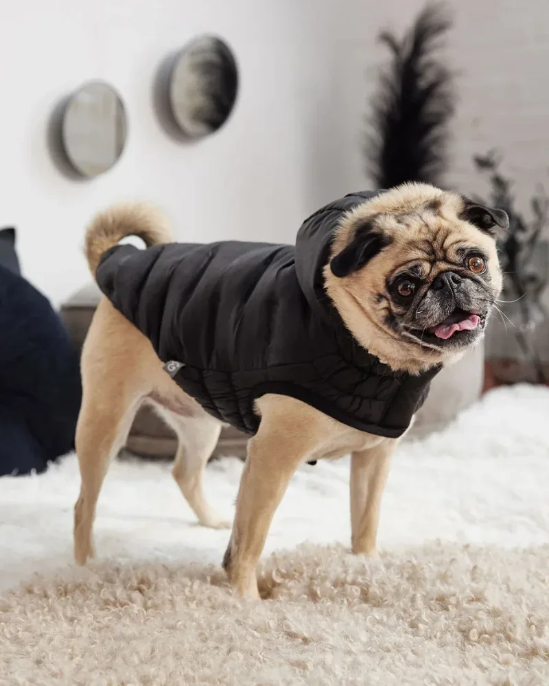 Cloud Puffer Parka for Dogs in Black