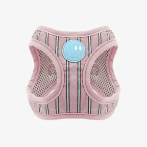 Stripe Daisy Dog Harness